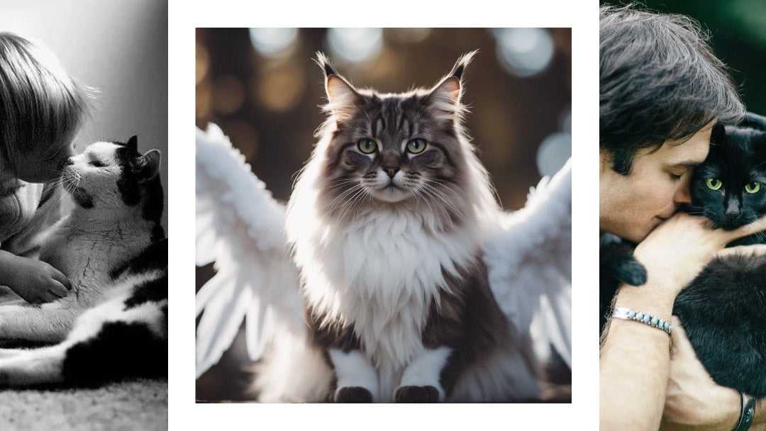 I Gatti ci scelgono, ci guariscono e proteggono il nostro Spirito