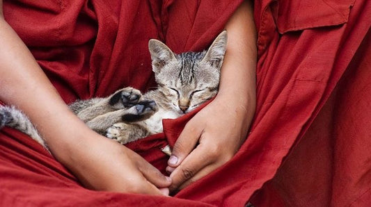 The Practice of Love~A Love Without Limits