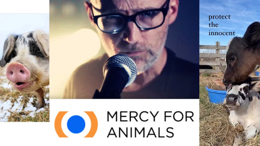 MOBY e la sua lettera e impegno d'amore per gli animali
