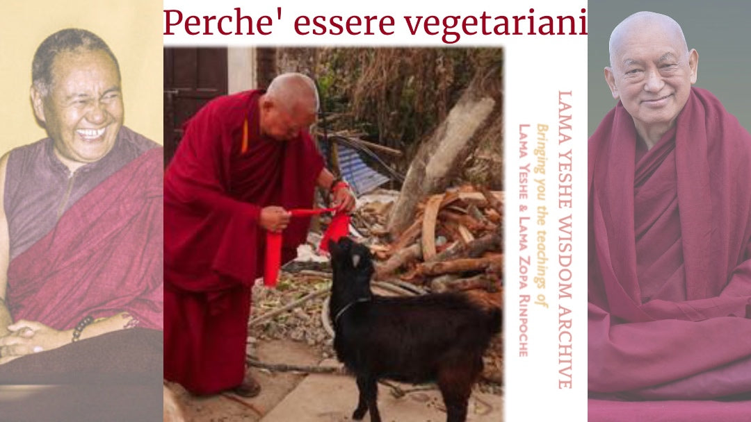 Perche' essere vegetariani 