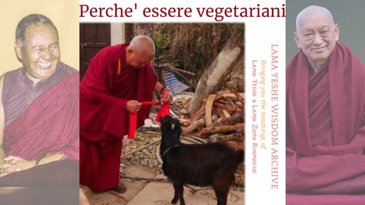 Perche' essere vegetariani 