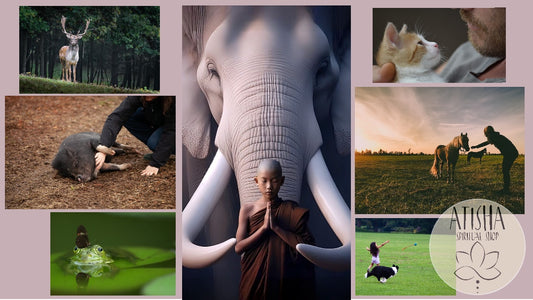 Come essere gentili con gli altri animali