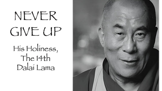 Never give up ~ Sua Santità' XIV Dalai Lama ~  Non importa cosa sta succedendo, non importa cosa succede intorno a te, non mollare mai.
