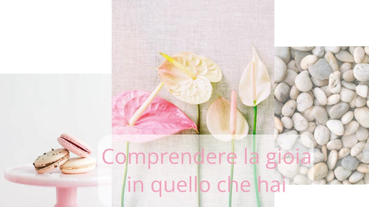 Comprendere la gioia in quello che hai