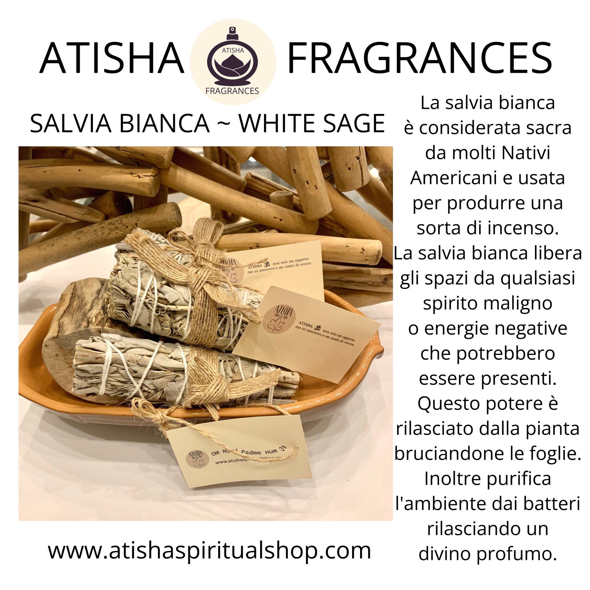 SALVIA BIANCA ~ ATISHA FRAGRANCES ~ SMUDGE~ – Atisha Spiritual Shop