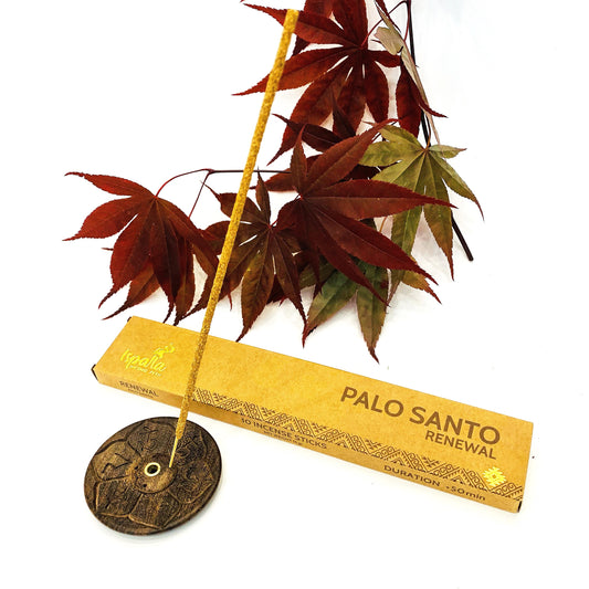 Lotus bruciaincenso ~ in ottone a forma di Fiore di loto